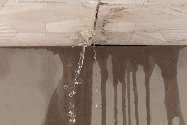 Professional Structural Drying technician working in Osseo, MI